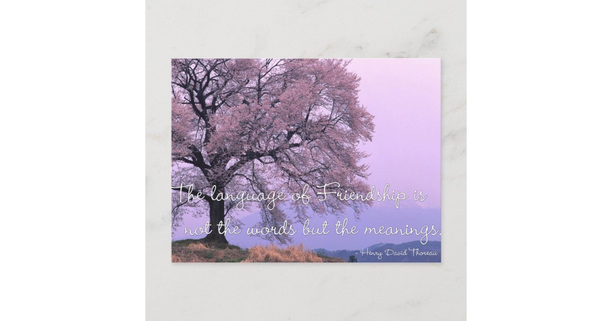 Friendship Quote 1 - Cherry Blossom Tree Postcards | Zazzle