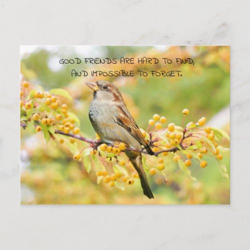 Friendship Quote Bird and Yellow Flowers Postcard