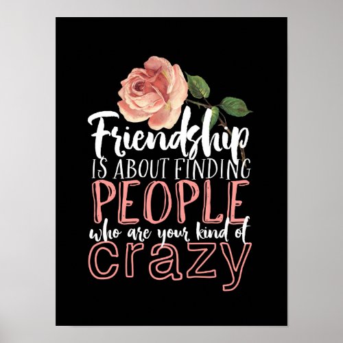 Friendship Quote Cool Crazy Best Friends Poster