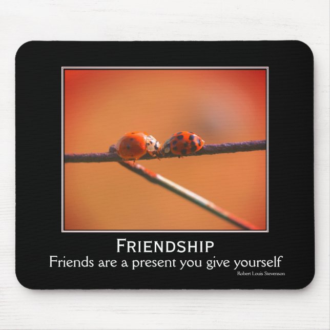 Friendship Quote Ladybugs Inspirational Mouse Pad (Front)
