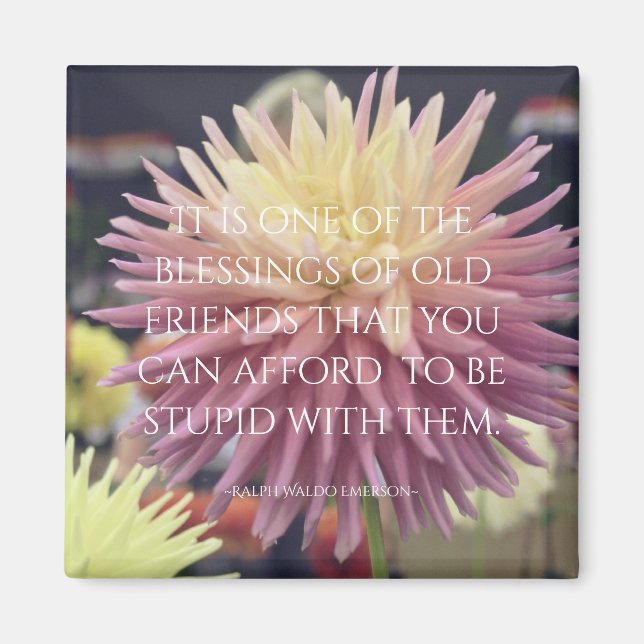Friendship Quote Pink Dahlia Magnet (Front)