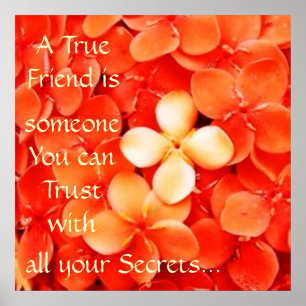 Friendship Quote Tangerine Orange Blossoms Poster