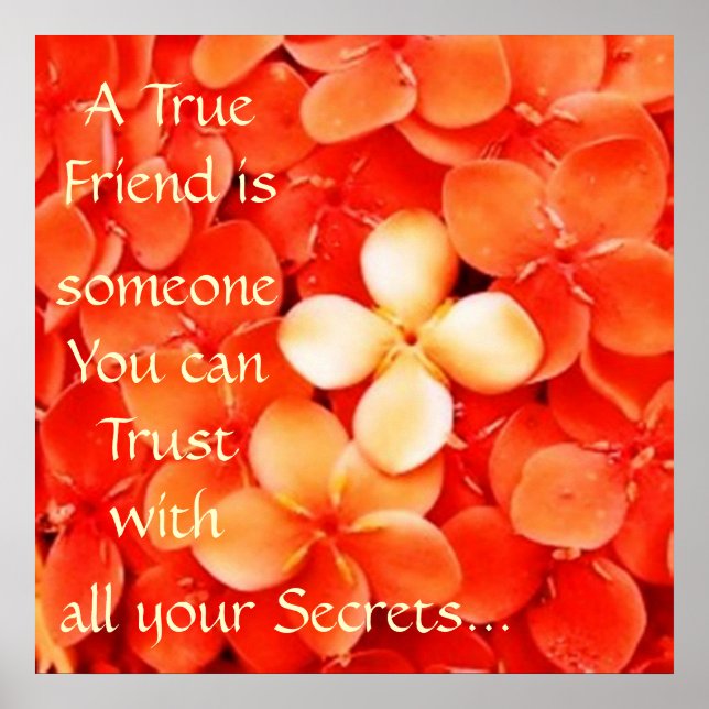 Friendship Quote Tangerine Orange Blossoms Poster (Front)