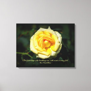 Friendship Quote Yellow English Rose Canvas Print