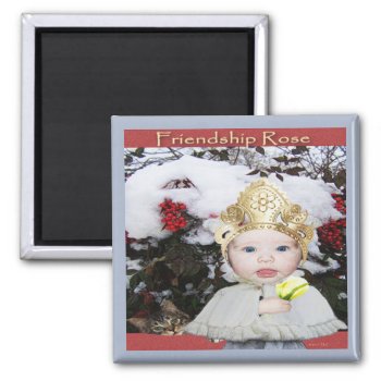 Friendship Rose Magnet by DanceswithCats at Zazzle