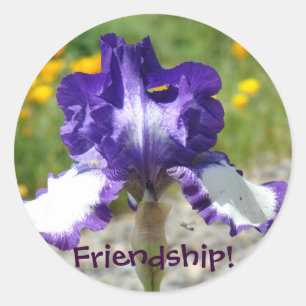 Friendship! stickers Purple Iris Flowers stickers