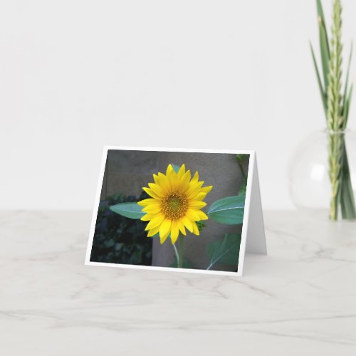 Friendship thank you sunflower card