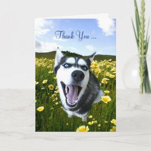 Friendship Thank You with Cute Husky Flowers Card