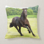 friesian-12.jpg throw pillow