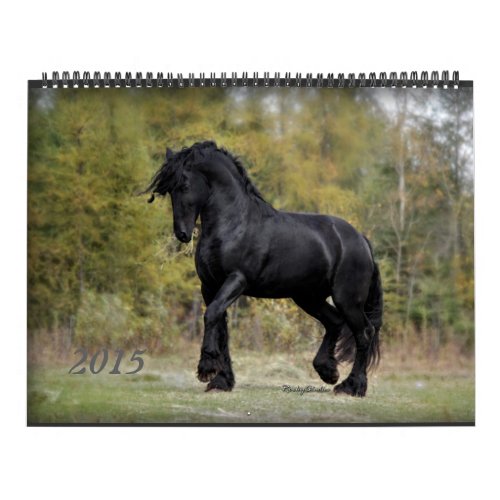Friesian and Horse 2015 Calendar