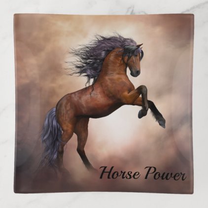 Friesian brown horse rearing up with missy clouds trinket trays