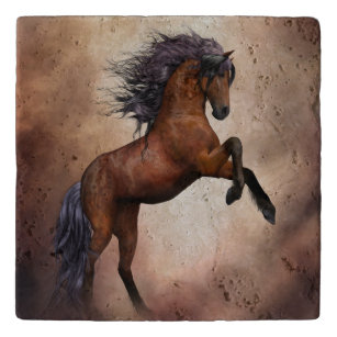 Friesian brown horse rearing up with misty clouds trivet