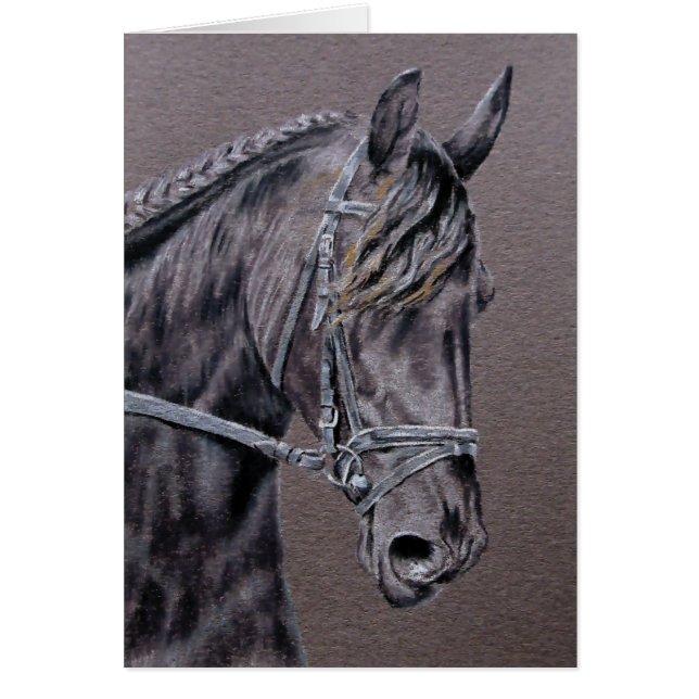 Friesian Cards (Front)