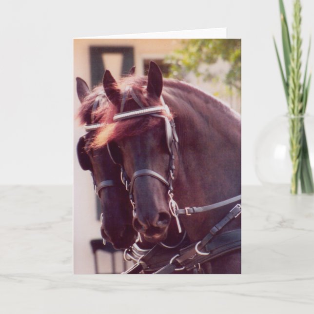Friesian Carriage Horses Card (Front)