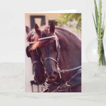 Friesian Carriage Horses Card by GailRagsdaleArt at Zazzle