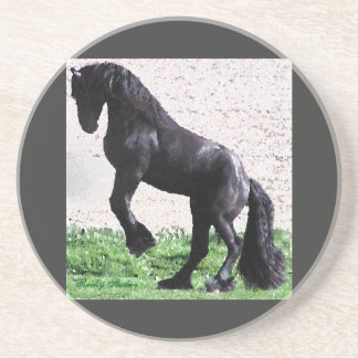 Friesian Coaster 8