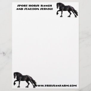 Friesian Colt Letterhead