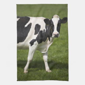 Cow Kitchen Towels | Zazzle