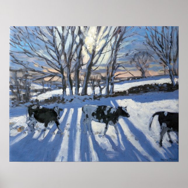 Friesian Cows 2009 Poster (Front)