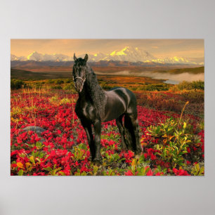 Friesian DIAMOND I - Poster