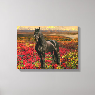 Friesian DIAMOND I - Wrapped Canvas Print