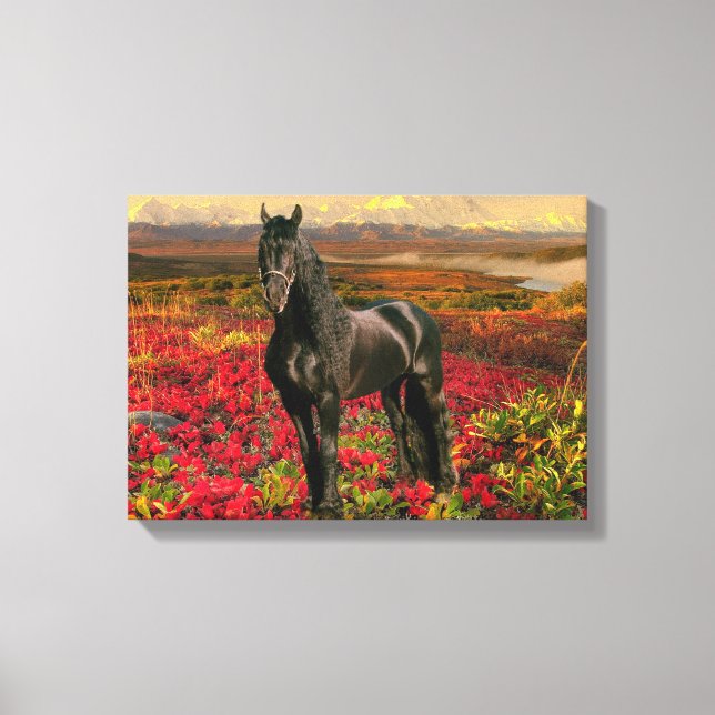 Friesian DIAMOND I - Wrapped Canvas Print (Front)