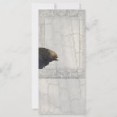 Friesian DIAMOND II - Rack- / Postcard (Back)