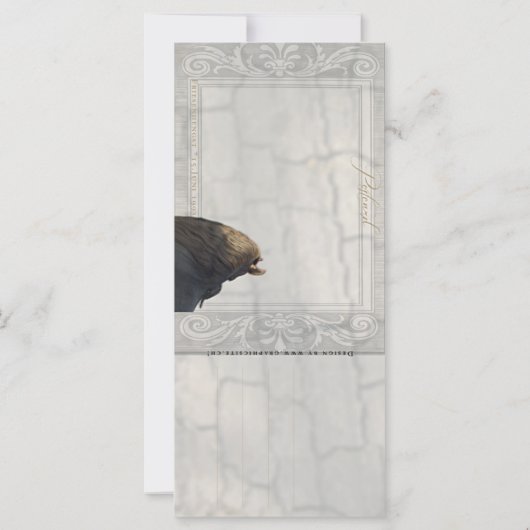 Friesian DIAMOND II - Rack- / Postcard (Back)