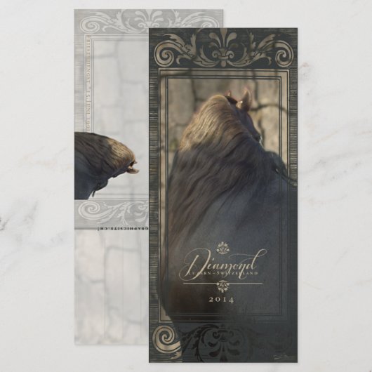 Friesian DIAMOND II - Rack- / Postcard (Front/Back)