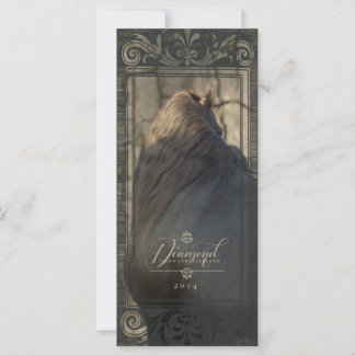 Friesian DIAMOND II - Rack- / Postcard