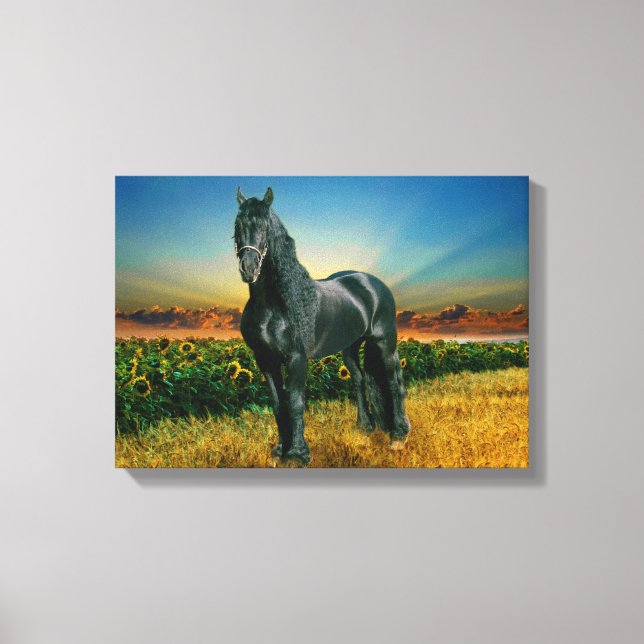 Friesian DIAMOND II - Wrapped Canvas Print (Front)
