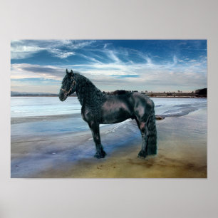 Friesian DIAMOND III - Poster