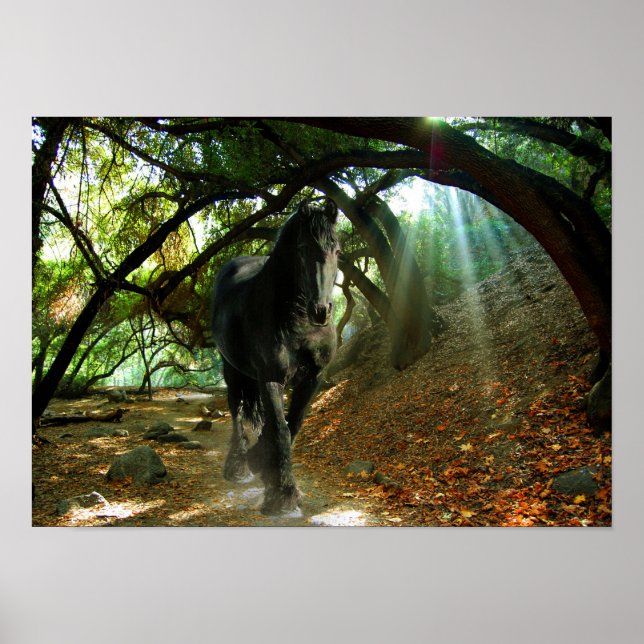 Friesian DIAMOND IV - Poster (Front)