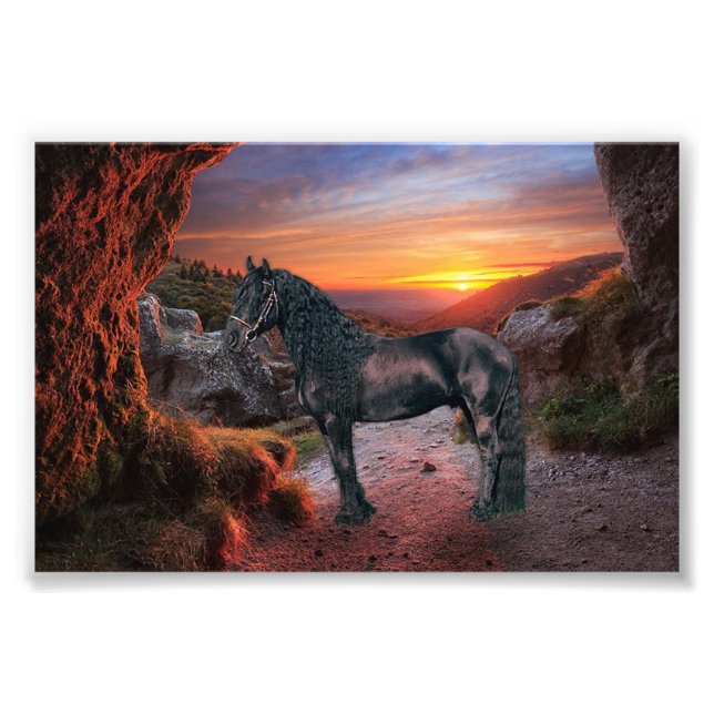 Friesian DIAMOND - Photo Print (Front)