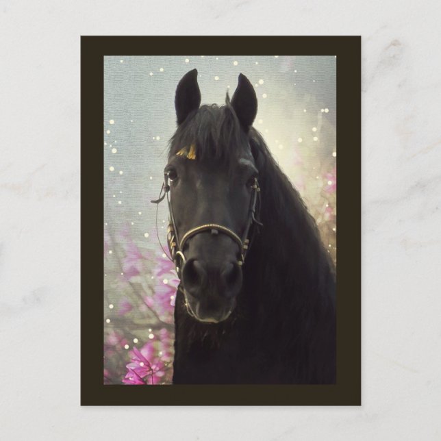 Friesian DIAMOND - Postcard (Front)