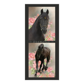 Friesian DIAMOND - Rack / Postcard Rack Card