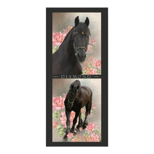 Friesian DIAMOND _ Rack  Postcard Rack Card