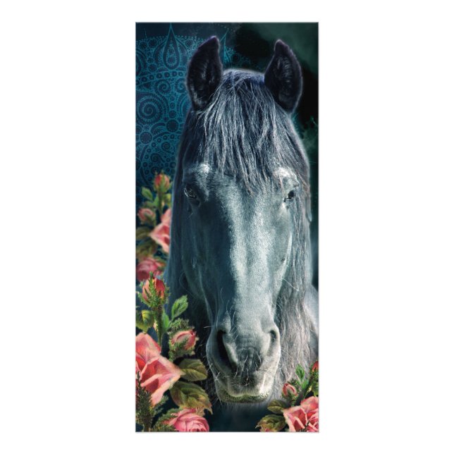 Friesian DIAMOND ~ Rackcard Rack Card (Front)