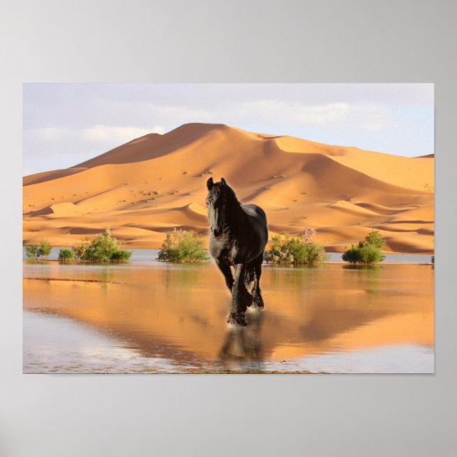 Friesian DIAMOND V - Poster (Front)