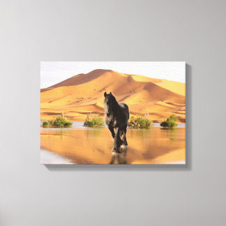 Friesian DIAMOND V - Wrapped Canvas Print