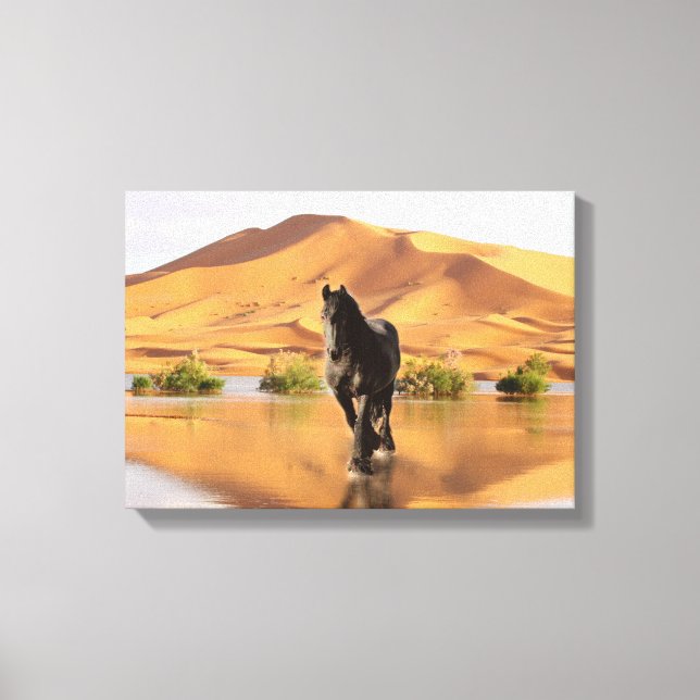 Friesian DIAMOND V - Wrapped Canvas Print (Front)