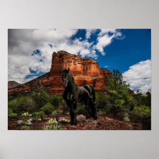 Friesian DIAMOND VI - Poster