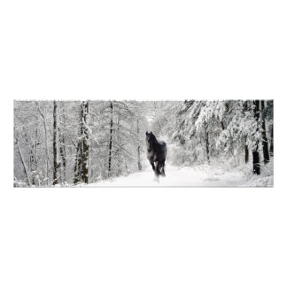 Friesian DIAMOND VII - Photo Print