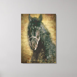 Friesian DIAMOND - Wrapped Canvas Print