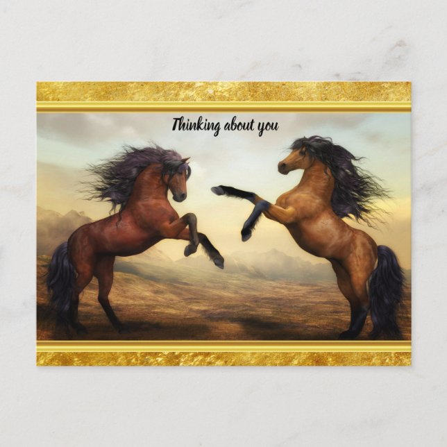 Friesian Draft Horses in a rocky mountain valley Postcard (Front)