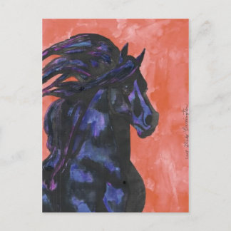 Friesian Fantasy Postcard