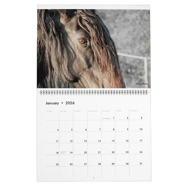 Friesian Feathers 2015 Calendar (Jan 2026)