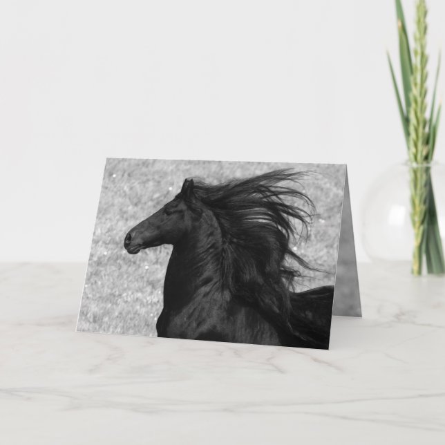 Friesian Flying Horse Greeting Card (Front)