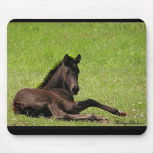 Friesian foal mousepad