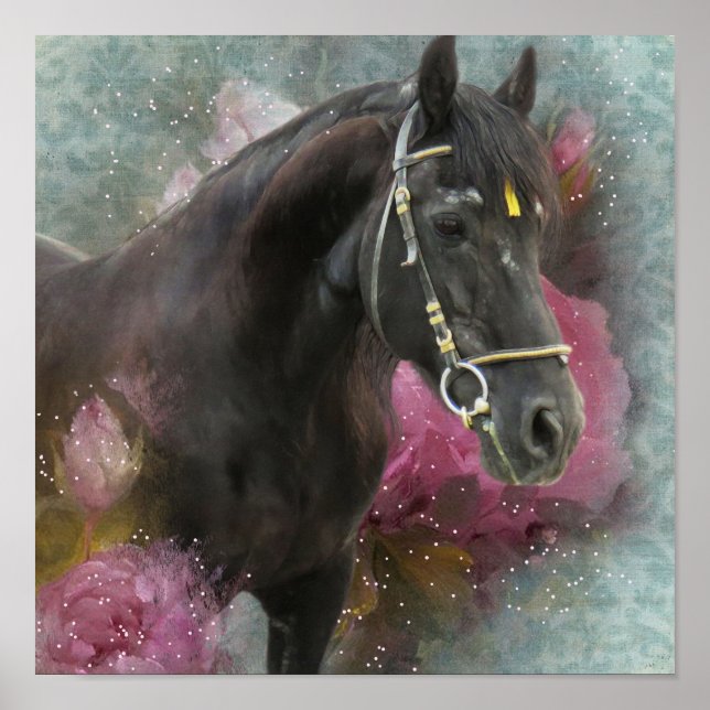 Friesian Horse - Art Print (Front)